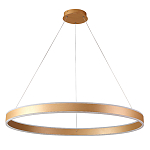 Люстра подвесная светодионая кольцевая золотого цвета Ring Horizontal варинант исполнения - 1 | Loft Concept в Липецке