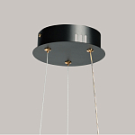 Люстра с прозрачным волнистым плафоном в форме цветка Ethereal Bloom варинант исполнения - 11 | Loft Concept в Липецке