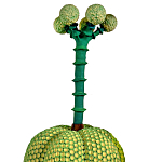 Статуэтка Зеленый тропический фрукт Pandora Tropical Light Green 69 варинант исполнения - 1 | Loft Concept в Липецке