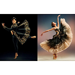 Книга New York City Ballet: Choreography and Couture варинант исполнения - 1 | Loft Concept в Липецке