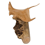 Статуэтка из дерева скат Animals of the World варинант исполнения - 2 | Loft Concept в Липецке