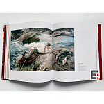 Книга Коллекция картин Сарджента Sargent: The Masterworks варинант исполнения - 6 | Loft Concept в Липецке