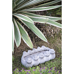 Кашпо Canaries варинант исполнения - 3 | Loft Concept в Липецке