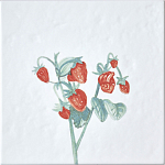 Плитка с узором Земляника варинант исполнения - 2 | Loft Concept в Липецке