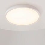 Потолочный светильник Incognito 2700-4000К 46Вт варинант исполнения - 4 | Loft Concept в Липецке