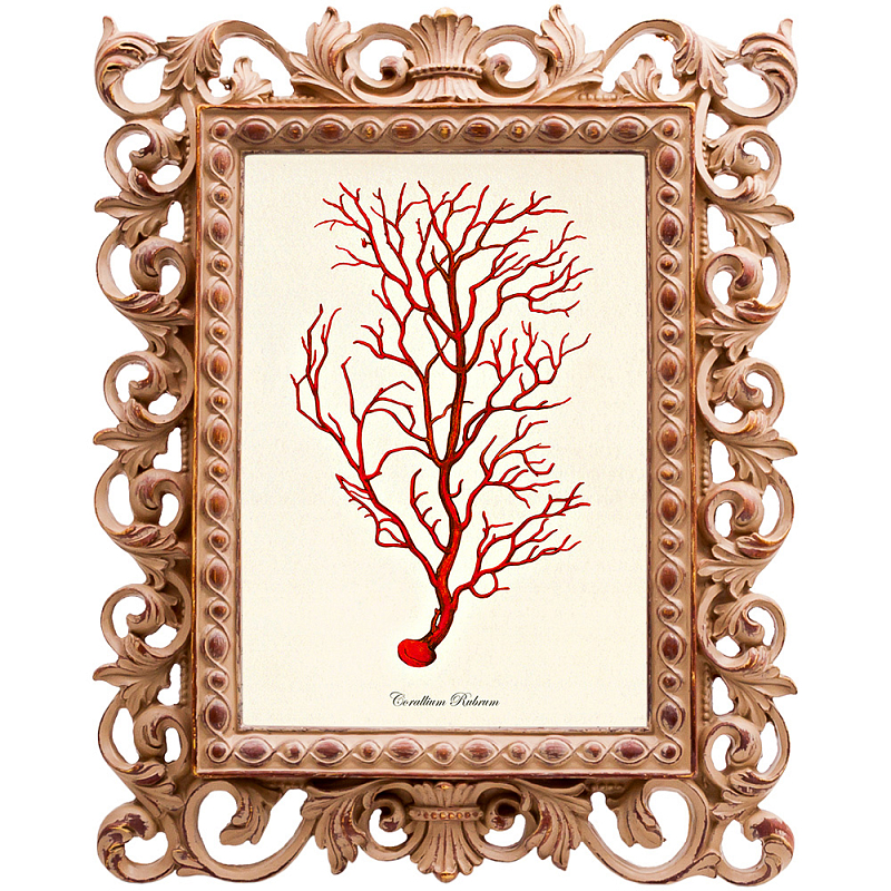 Постер Red Coral Poster 4 Бежевый Красный Постер Red Coral Poster 4 Бежевый Красный в Липецке | Loft Concept