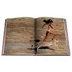 Лимитированная подарочная большая книга CARTIER Panthère варинант исполнения - 12 | Loft Concept в Липецке