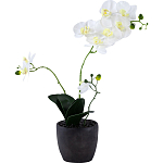 Декоративный искусственное растение Angel Orchid варинант исполнения - 1 | Loft Concept в Липецке