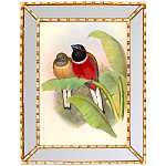 Постер с изображением птиц и цветов в зеркальной раме Blooming Birds Poster варинант исполнения - 6 | Loft Concept в Липецке