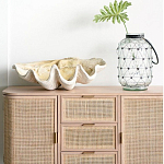 Блюдо декоративное в виде ракушки Seashell варинант исполнения - 1 | Loft Concept в Липецке