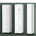 Шкаф-пенал белый с зеркальной дверцей Strict Lines варинант исполнения - 5 | Loft Concept в Липецке