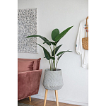 Декоративный искусственное растение Decor Stile  варинант исполнения - 6 | Loft Concept в Липецке