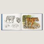 Лимитированная подарочная книга HERMES Fierce and Fragile book, English version варинант исполнения - 2 | Loft Concept в Липецке