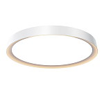 Потолочный светильник Incognito 2700-4000К 46Вт варинант исполнения - 1 | Loft Concept в Липецке