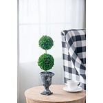 Декоративный искусственное растение Double boxwood варинант исполнения - 5 | Loft Concept в Липецке