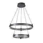 Люстра светодиодная с 2-мя плафонами в форме колец из акрила и алюминия с пультом для регулировки света Ring Horizontal Black варинант исполнения - 4 | Loft Concept в Липецке