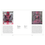 Книга Tantra: Enlightenment to Revolution варинант исполнения - 4 | Loft Concept в Липецке