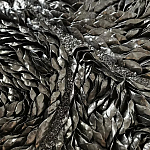 Панно «Чёрный лебедь» варинант исполнения - 3 | Loft Concept в Липецке