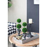 Декоративный искусственное растение Double boxwood варинант исполнения - 8 | Loft Concept в Липецке