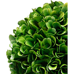 Декоративный искусственное растение Single boxwood варинант исполнения - 2 | Loft Concept в Липецке