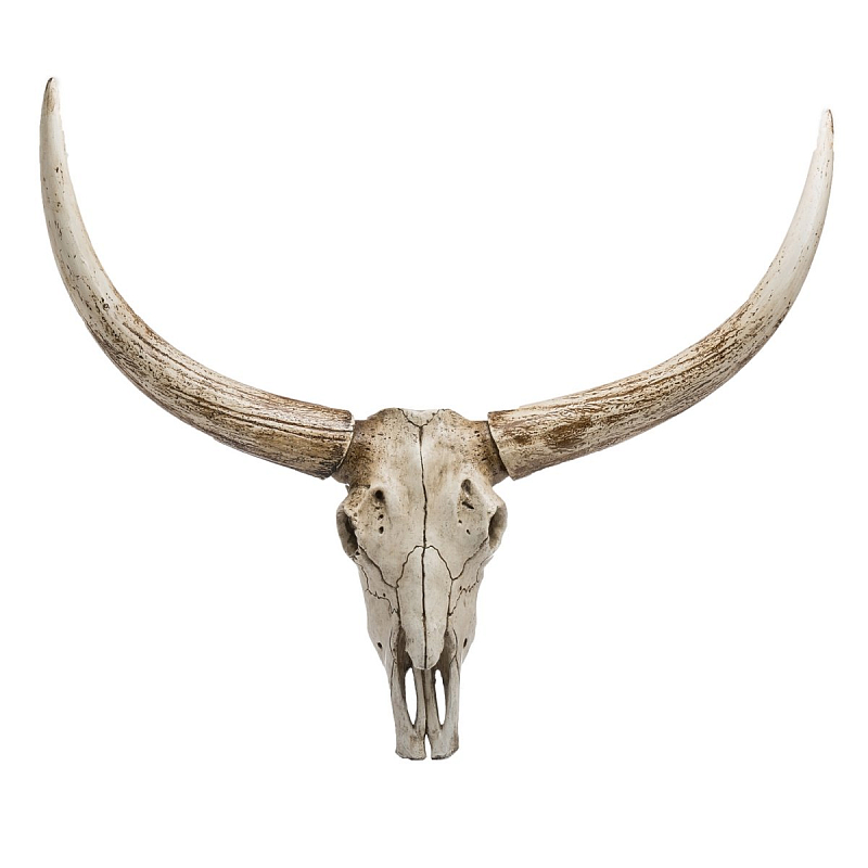 Череп быка Bull Skull Бежево-серый Череп быка Bull Skull Бежево-серый в Липецке | Loft Concept