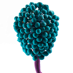 Статуэтка для интерьера фрукт Pandora Tropical Fruit 22 варинант исполнения - 2 | Loft Concept в Липецке