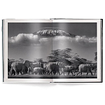 Книга Beusker. Look into my Eyes варинант исполнения - 2 | Loft Concept в Липецке