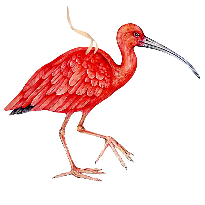 Арт-объект Scarlet Ibis Красный Арт-объект Scarlet Ibis Красный в Липецке | Loft Concept