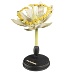 Статуэтка Tilia варинант исполнения - 3 | Loft Concept в Липецке