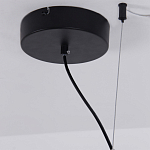 Люстра подвесная светодиодная черный металл Ring Horizontal варинант исполнения - 13 | Loft Concept в Липецке