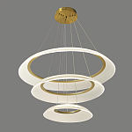 Люстра подвесная с 3-мя кольцевыми светодиодными лампами Catcher варинант исполнения - 1 | Loft Concept в Липецке