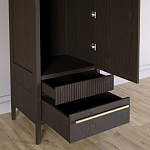 Узкий Шкаф Primo с 2 выдвижными ящиками Темный орех варинант исполнения - 5 | Loft Concept в Липецке