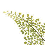 Декоративный искусственное растение Dried flower варинант исполнения - 3 | Loft Concept в Липецке