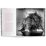 Книга Beusker. Look into my Eyes варинант исполнения - 3 | Loft Concept в Липецке