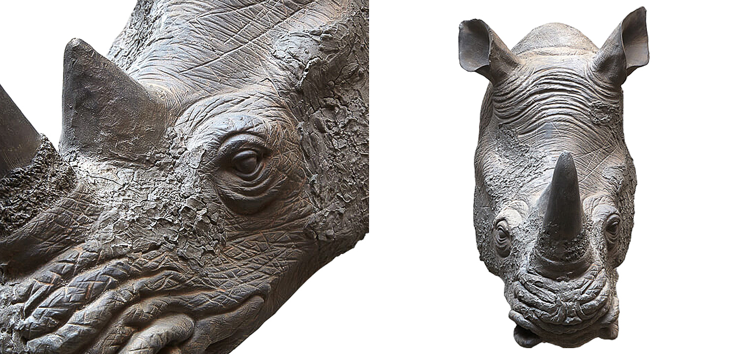 Аксессуар на стену Rhinoceros Аксессуар на стену Rhinoceros - Loft-Concept в Липецке