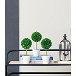 Декоративный искусственное растение Boxwood One варинант исполнения - 9 | Loft Concept в Липецке