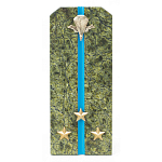 Сувенир Погон Старший Лейтенант ВДВ из натурального камня змеевик Souvenir Epaulets варинант исполнения - 1 | Loft Concept в Липецке