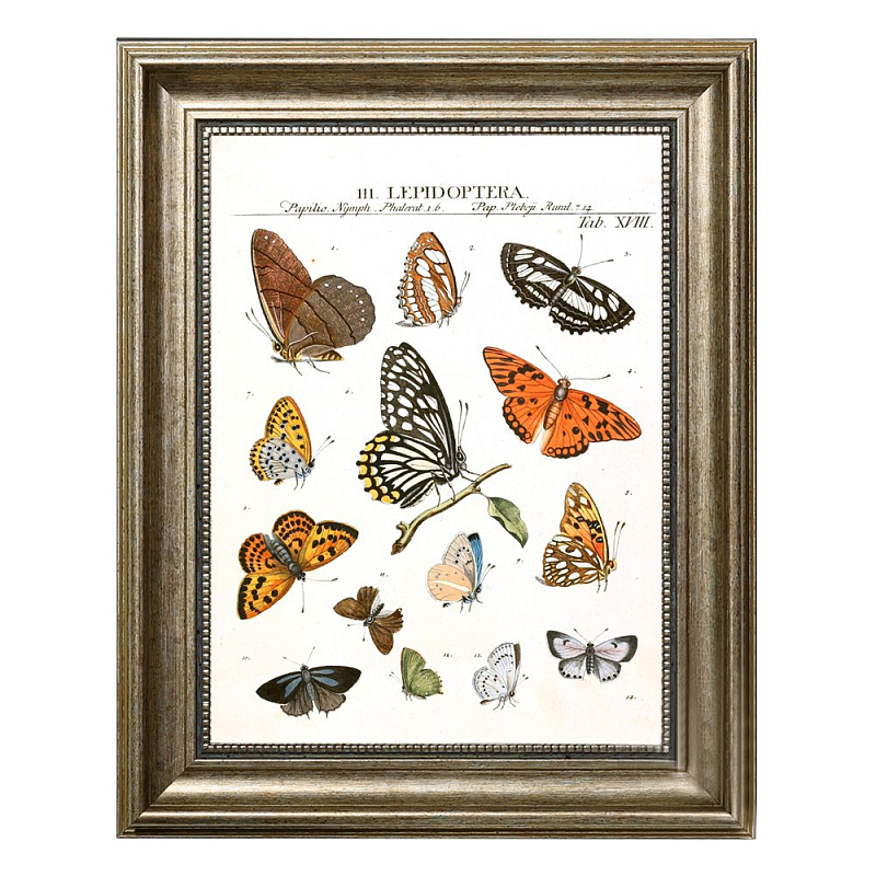 Постер Little Butterflies Постер Little Butterflies в Липецке | Loft Concept
