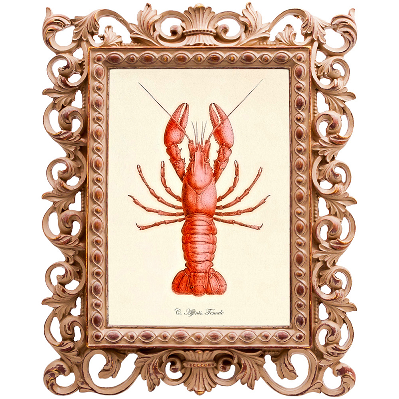 Постер Red Lobster Бежевый Красный Постер Red Lobster Бежевый Красный в Липецке | Loft Concept