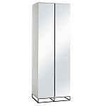 Двухдверный шкаф с зеркальными дверцами Strict Lines варинант исполнения - 5 | Loft Concept в Липецке