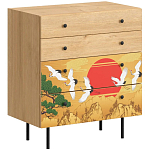 Комод с принтом на ящиках Elise Chest of Drawers варинант исполнения - 4 | Loft Concept в Липецке