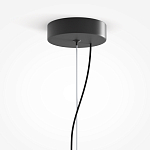 Подвесной светильник Rare grapes варинант исполнения - 4 | Loft Concept в Липецке