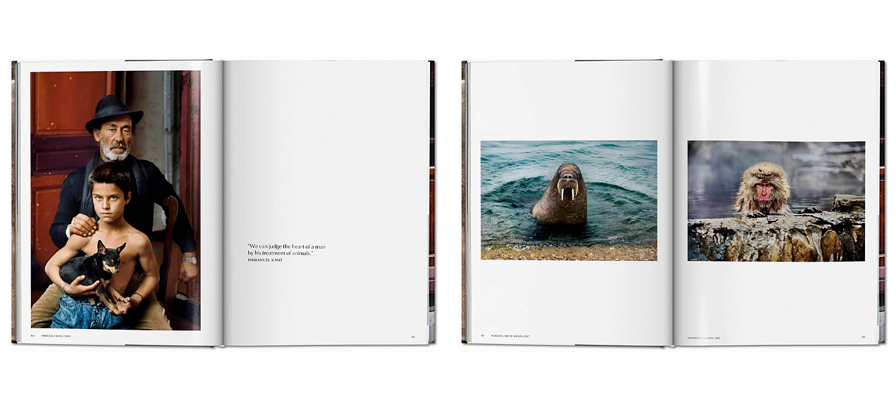 Steve McCurry. Animals Steve McCurry. Animals - Loft-Concept в Липецке