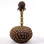 Статуэтка тропический фрукт Pandora Tropical Fruit Brown варинант исполнения - 2 | Loft Concept в Липецке