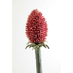 Статуэтка тропический фрукт Pandora Tropical Fruit Orange Red Round варинант исполнения - 3 | Loft Concept в Липецке