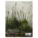 Самая полная история искусства на английском языке  A World History of Art, Revised 7th ed.: Revised 7th Edition варинант исполнения - 2 | Loft Concept в Липецке