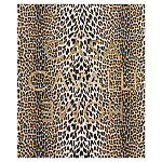 Редкое коллекционное издание Casa Cavalli Home: Celebrating the Roberto Cavalli Lifestyle Леопард варинант исполнения - 1 | Loft Concept в Липецке