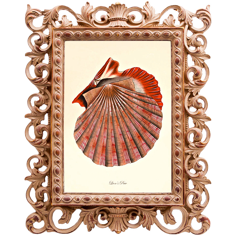 Постер Scarlet Scallop Бежевый Красный Постер Scarlet Scallop Бежевый Красный в Липецке | Loft Concept