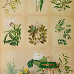 Обои ручная роспись Botanical Studies Linnaeus colourway варинант исполнения - 3 | Loft Concept в Липецке