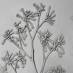 Панно Лесной цветок варинант исполнения - 4 | Loft Concept в Липецке